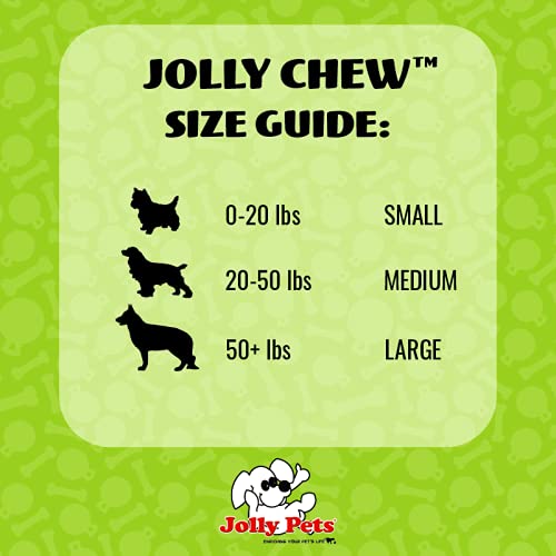 El Jolly Pets Jolly Bone mediano azul para uso acuático y recuperación al aire libre.