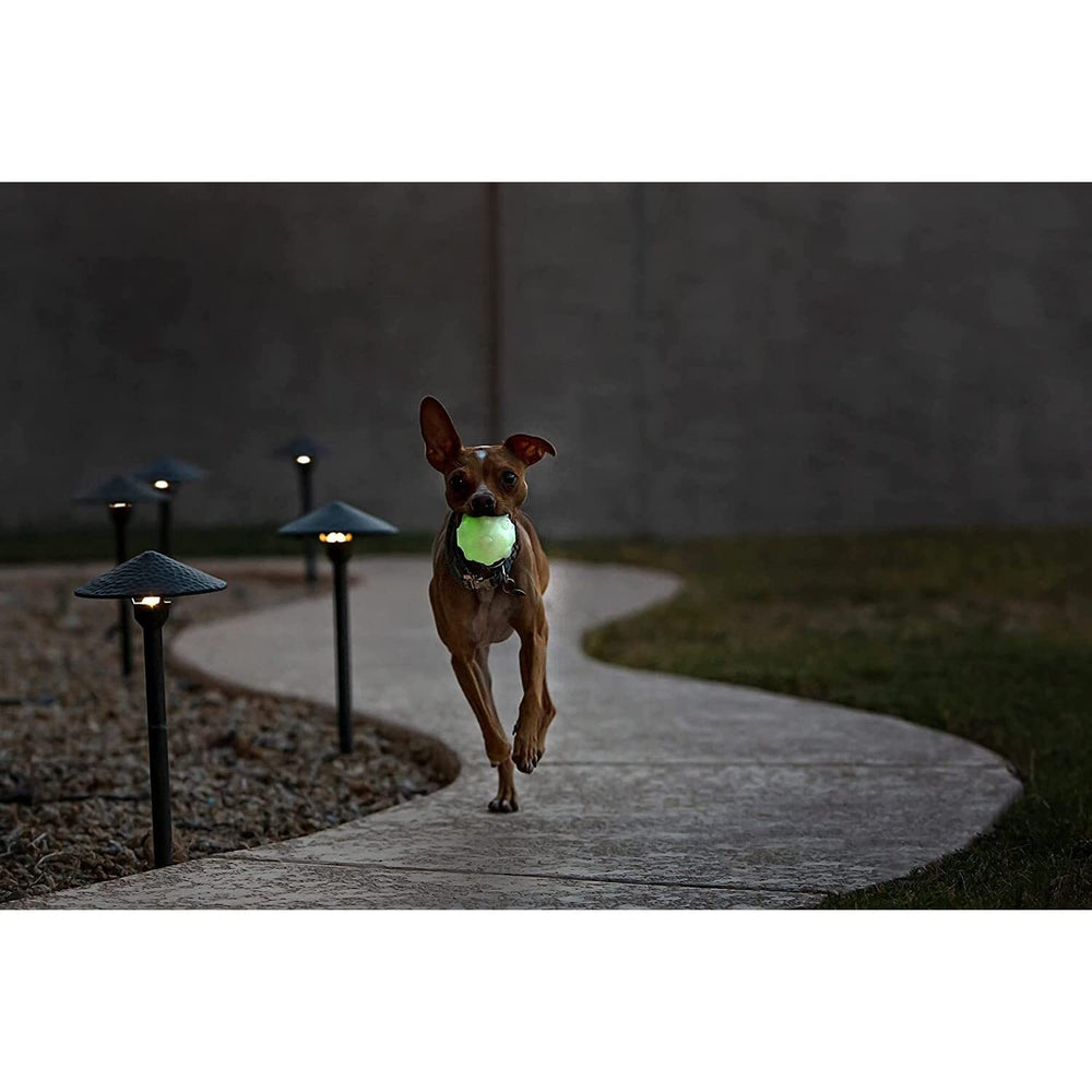 Jolly Pets Jolly Jumper rebote errático para juego activo
