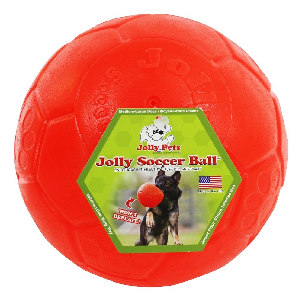 Pelota Jolly Pets para perro, 8 pulgadas, ideal para juegos de atrapar y resistencia.