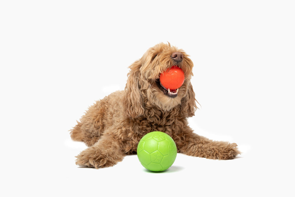 Alternativa divertida al tenis, perfecta para entrenamientos ligeros.