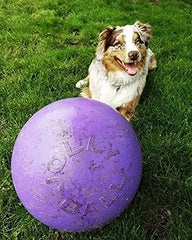 Jolly Pets Push-N-Play Ball flota, perfecta para jugar en agua.