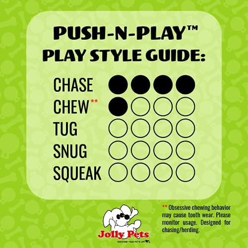 Jolly Pets Push-N-Play Ball morada, ideal para juego activo y ejercicio.