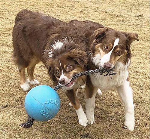 Jolly Pets Romp-n-Roll: cuerda de agarre fácil para jugar a tirar y lanzar.