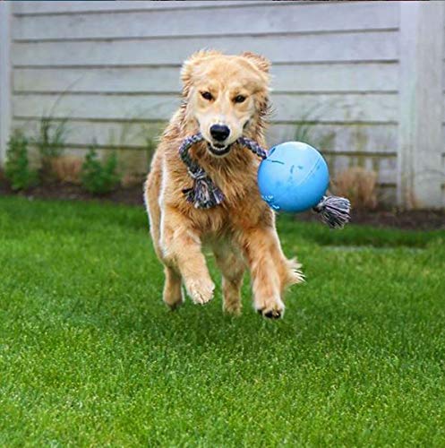 Jolly Pets Romp-n-Roll, cuerda de agarre fácil para tirar y lanzar