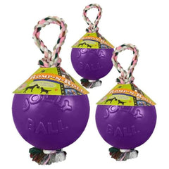 Jolly Pets Romp-n-Roll con diseño duradero JollyFlex, juego seguro y divertido.