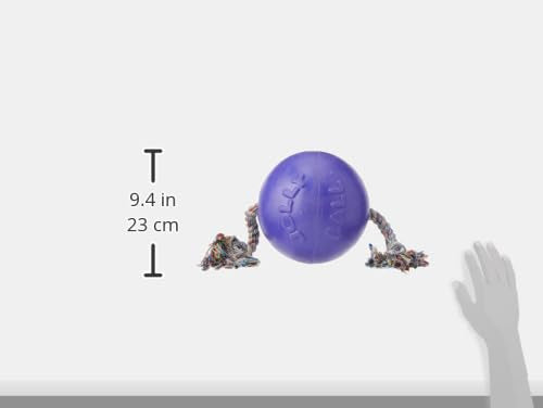 Jolly Pets Romp-n-Roll en color morado; ideal para juegos de tirar y traer
