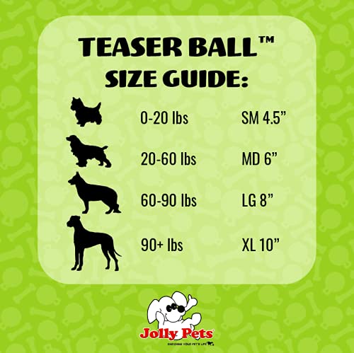 Jolly Pets Teaser Ball: flotante para juegos de agua y recuperación.