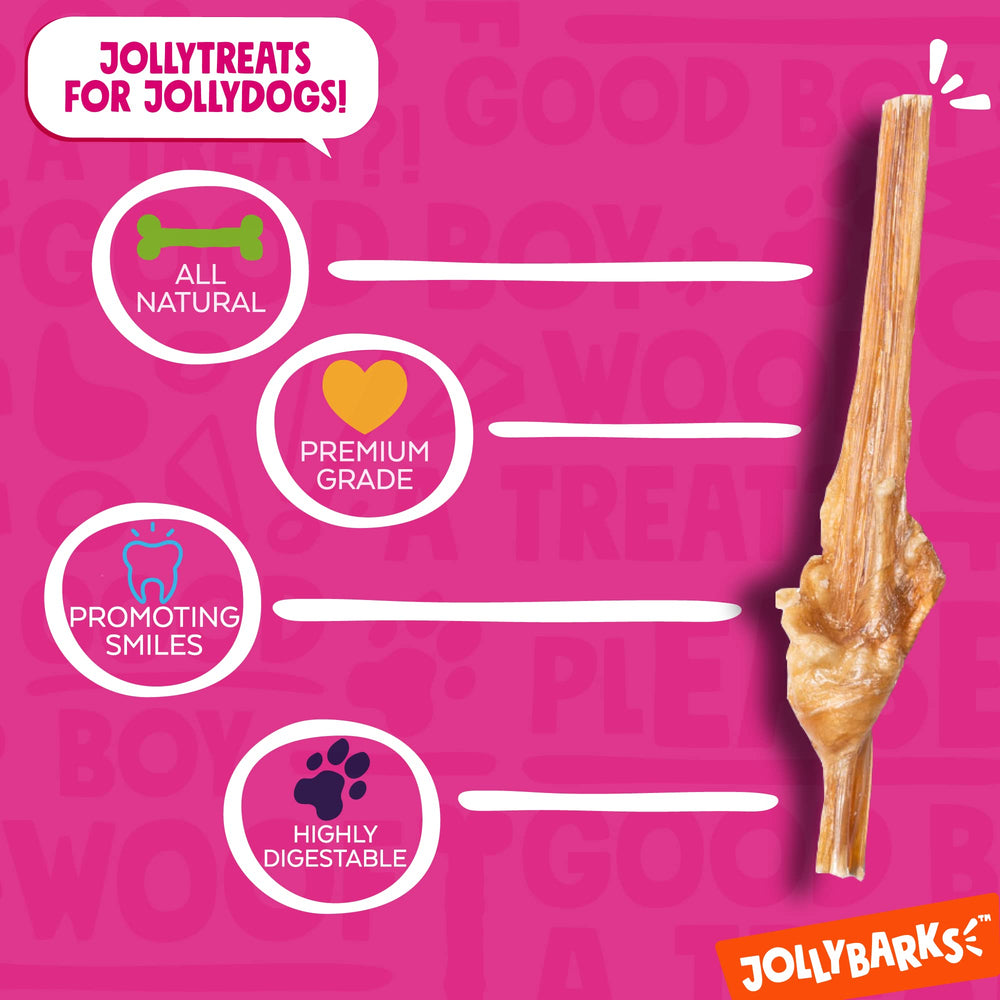 Jolly Barks Junior Palito Bully, vejiga de res, opción suave para mordisqueos.