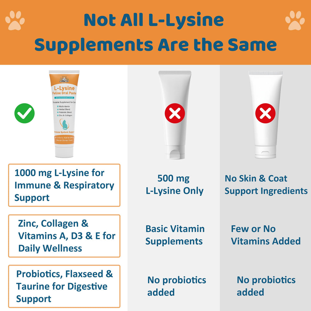 L-Lisina para gatos con probióticos y salmón, equilibrio intestinal.