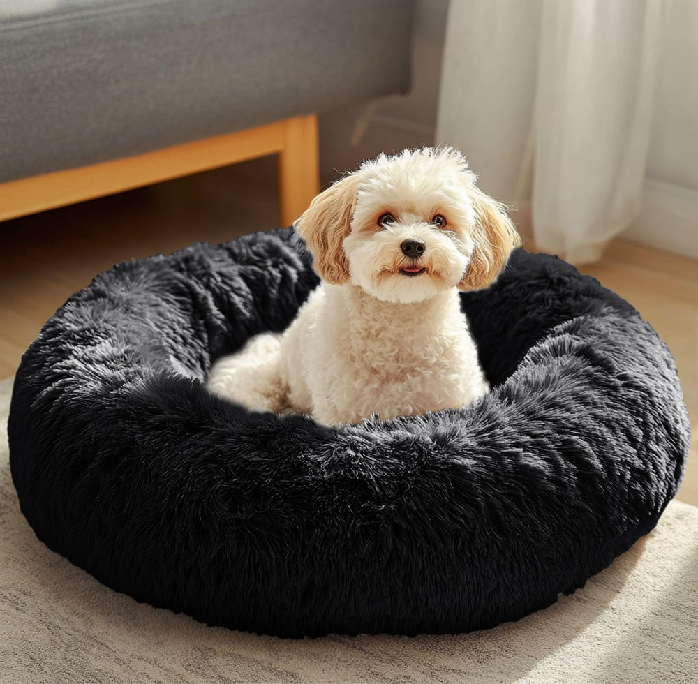 JOLLYVOGUE cama con borde ergonómico y base antideslizante, seguridad y estabilidad al dormir.