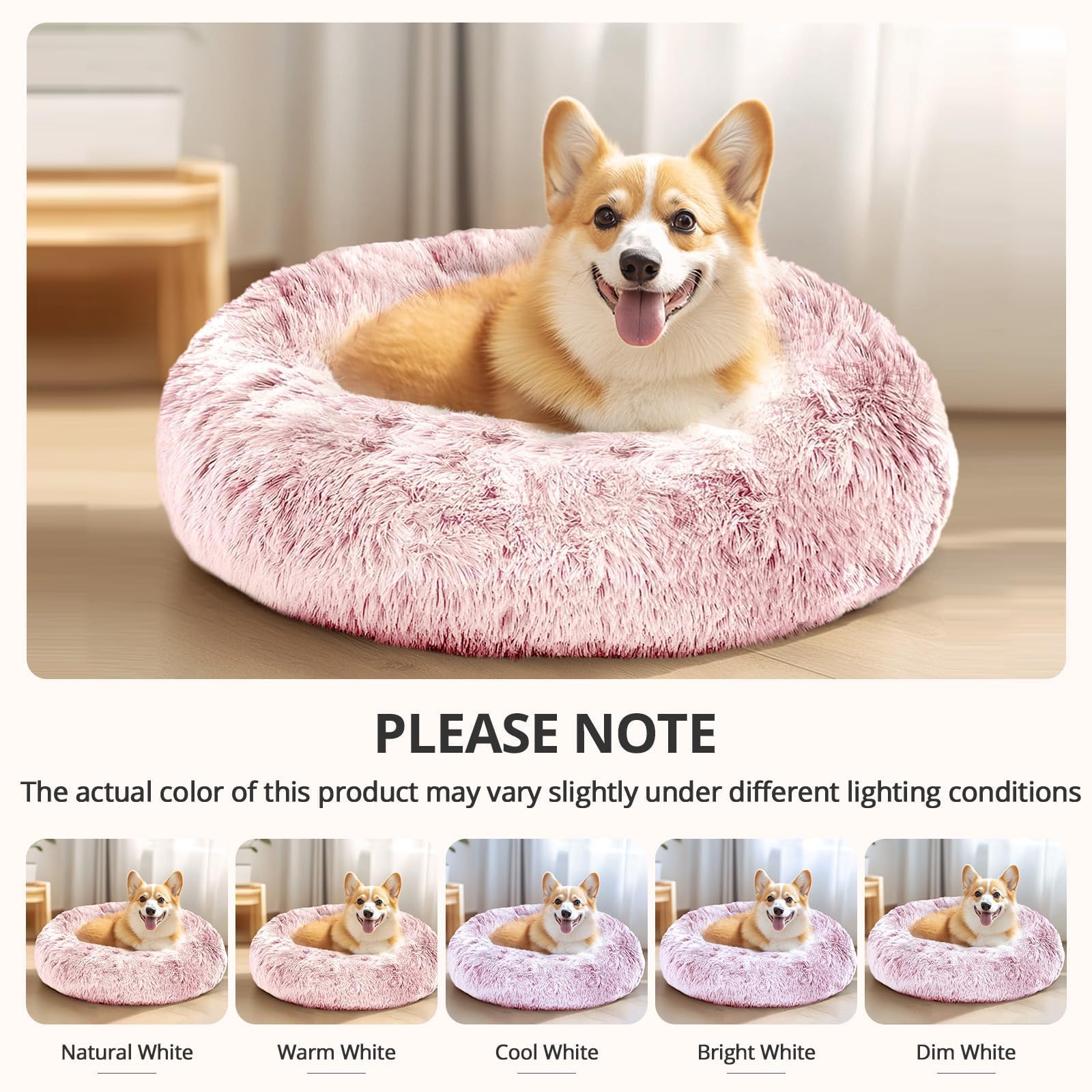 Tamaño adecuado para mascotas hasta 25 libras, marca JOLLYVOGUE.
