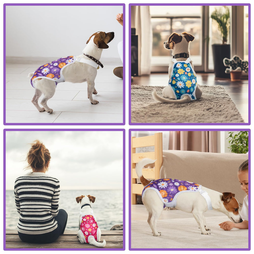Diseño ergonómico Jollywoods para ajuste cómodo en perros activos.