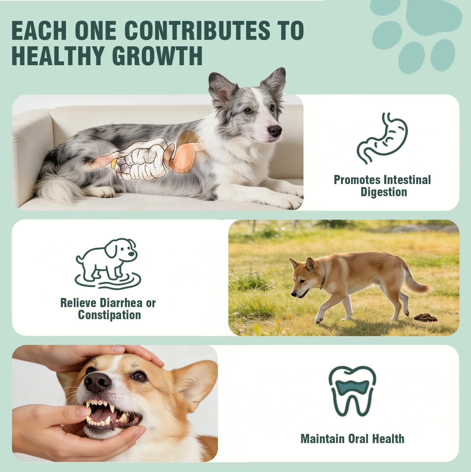 Jomielerr Probióticos para perros, ingredientes de calidad: fórmula natural sin colorantes.