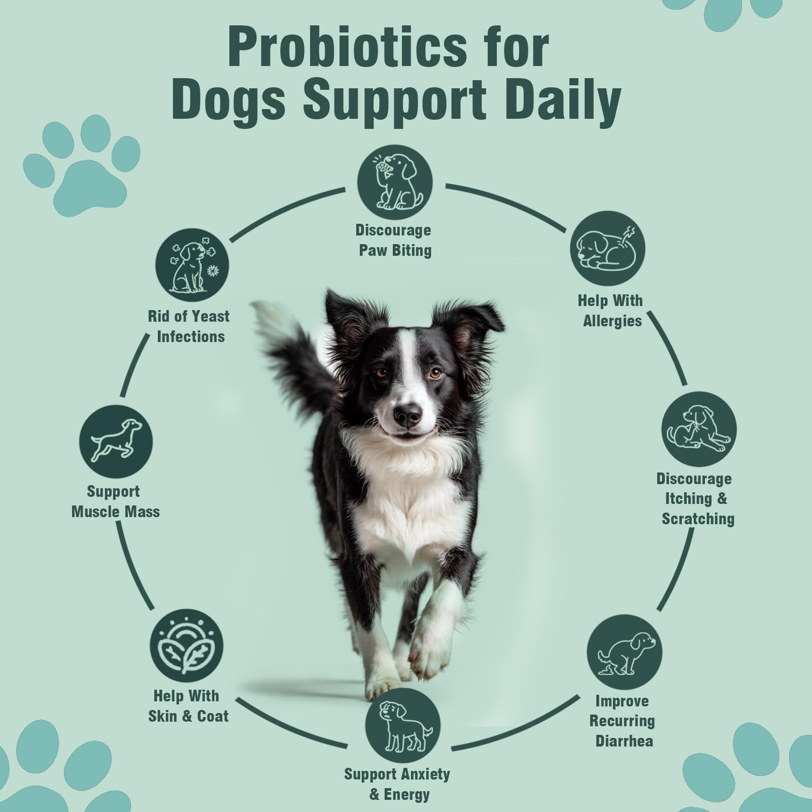 Jomielerr Probióticos para perros, inmunidad diaria: ayuda a mantener piel saludable.