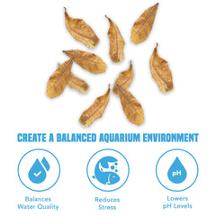 JOR Catappa: estabilizador de agua para acuarios de betta y tetras.