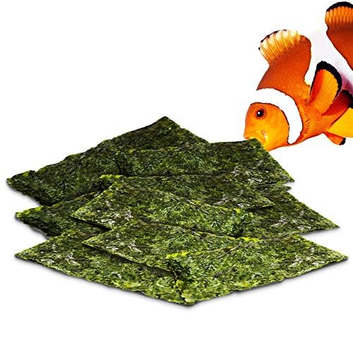 JOR hojas de alga marina en paquete, alimento práctico para peces del acuario.