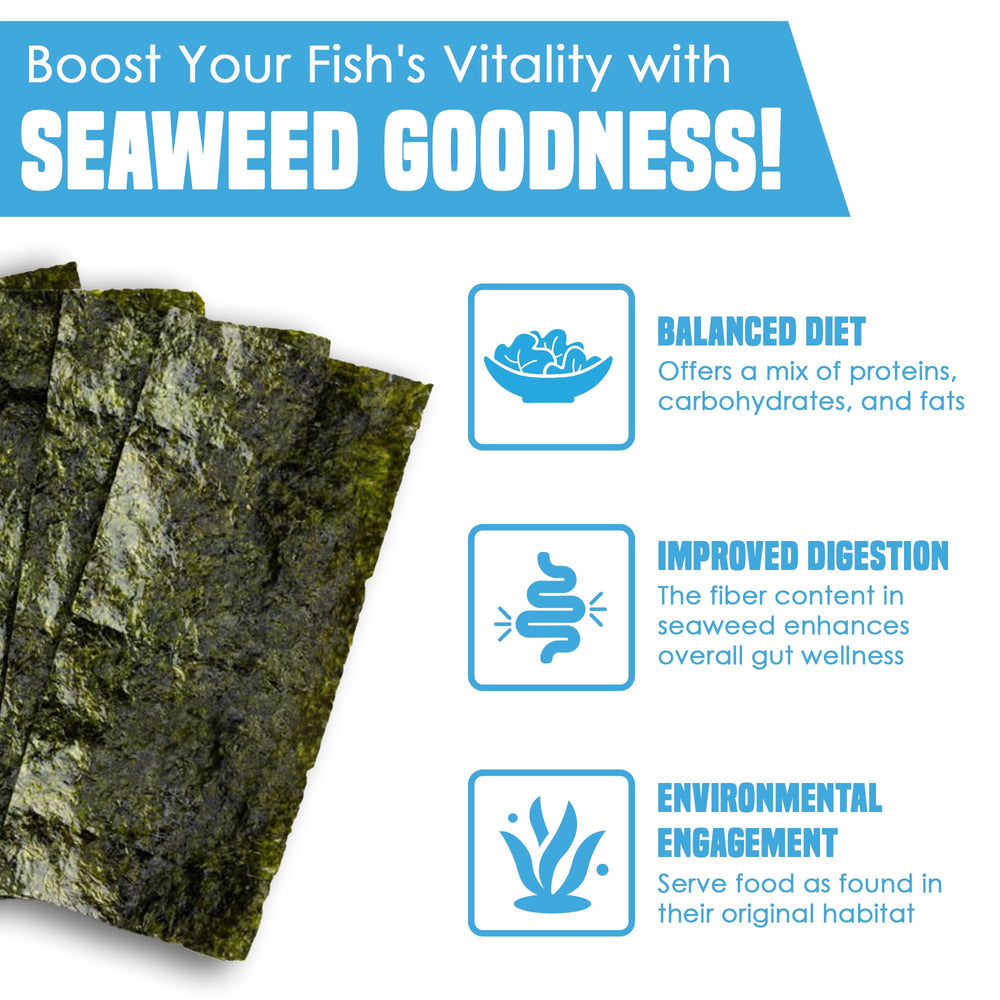 JOR hojas-alga-marina-para-plecos-y-caracolas: snack sabroso que complementa su dieta.