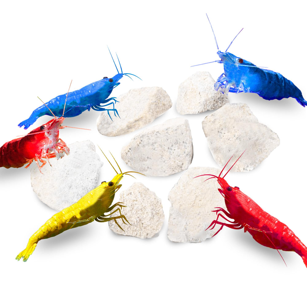 Piedras calcio blancas de JOR para acuario, aportan calcio y estética natural.