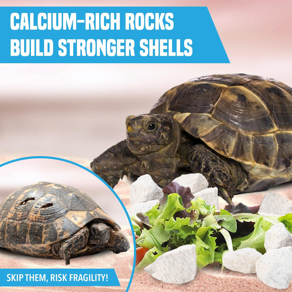 Piedras pequeñas de calcio JOR ideales para nano tanques y decoración de acuario.