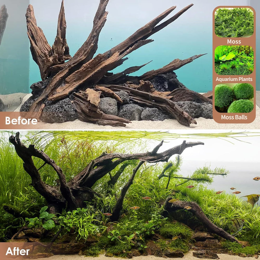 Jorewood driftwood dos piezas, paisaje submarino versátil para acuario.