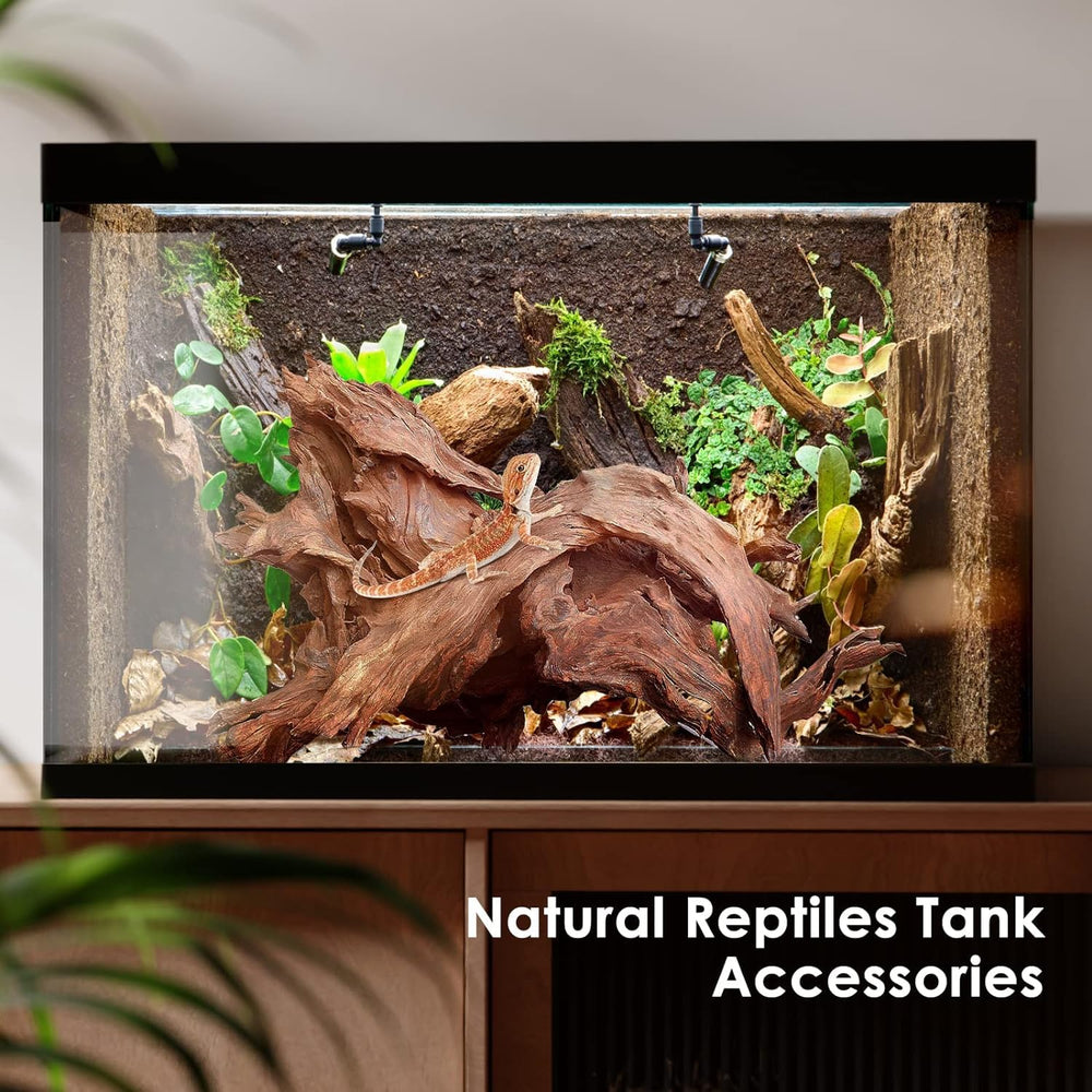 Madera de deriva Jorewood para terrario, compatible con plantas vivas y lamparas.