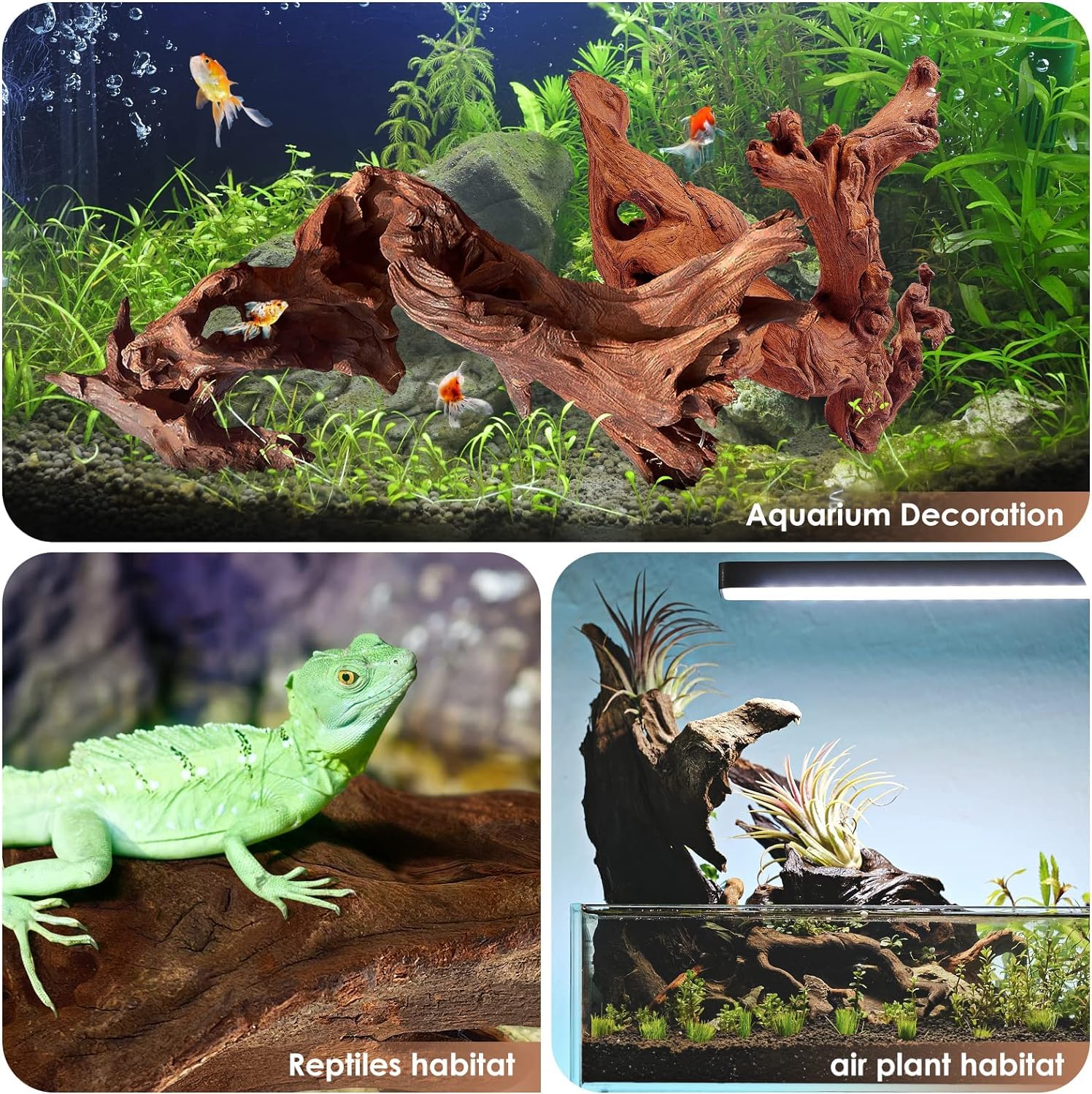 Textura porosa de la madera Jorewood, crea refugios y cuevas para reptiles.