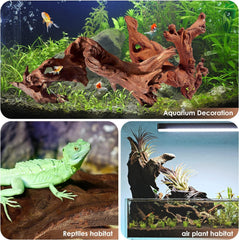 Jorewood Madera flotante para terrario, crea cuevas para reptiles y zonas de descanso.