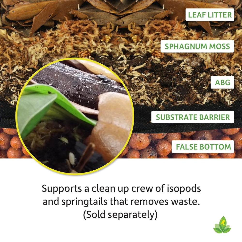 Josh's Frogs ABG Mix: fomenta cultivo de invertebrados como springtails.