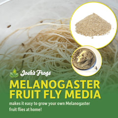 Josh's Frogs media para Melanogaster lista para 20 cultivos