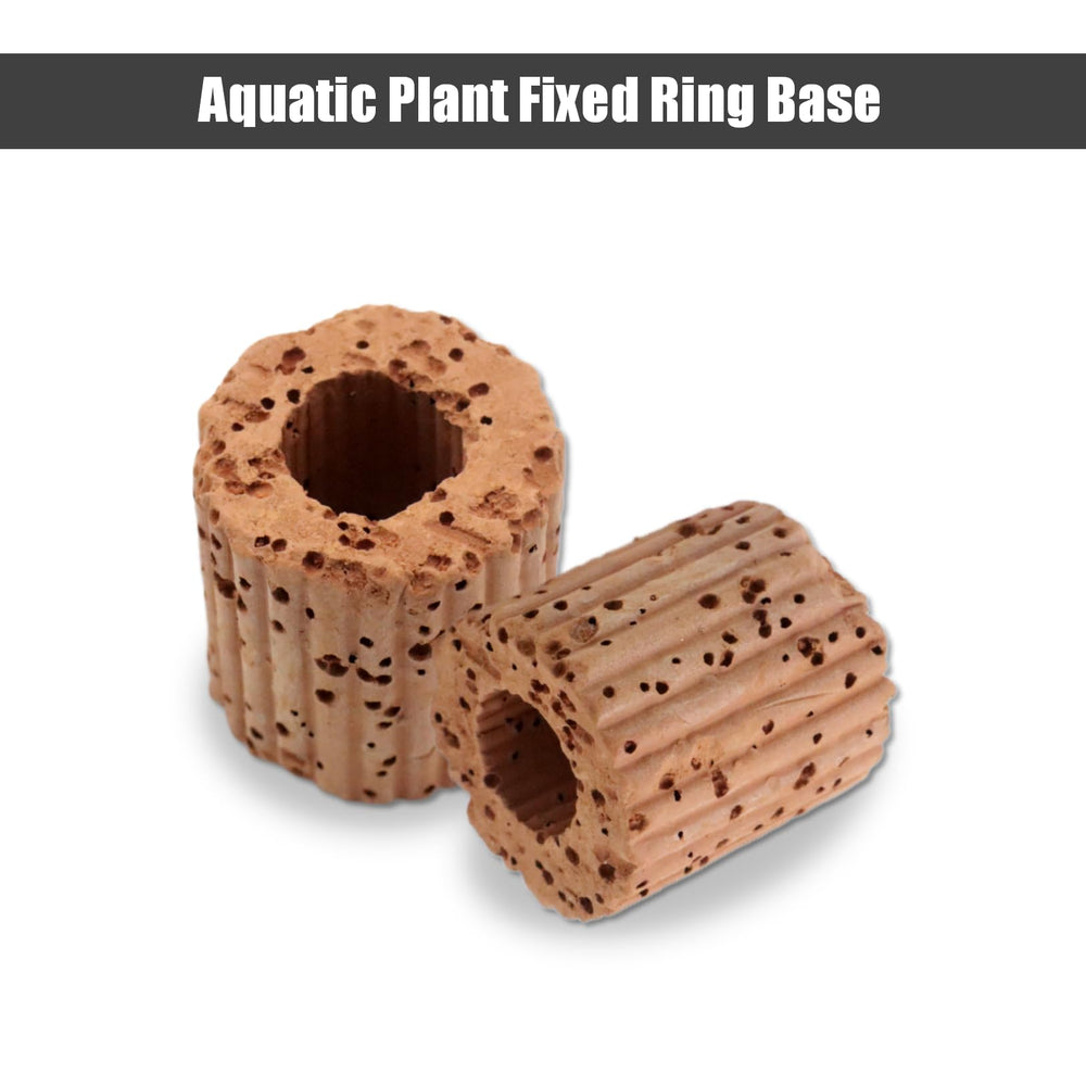 Joyangy anillo fijación cerámico: cultivo plantas sin sustrato en acuario.