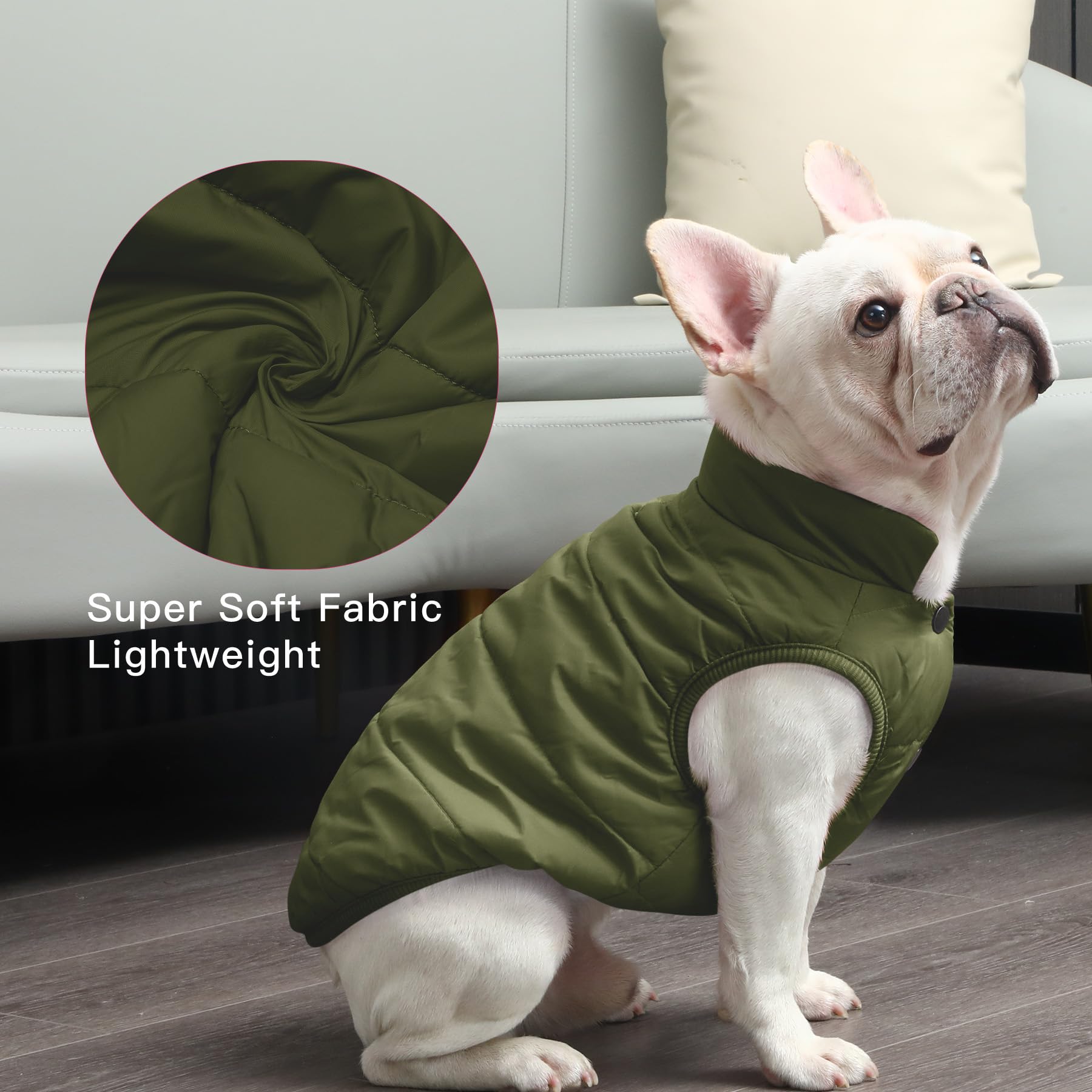 JoyDaog abrigo verde para perros pequeños, estilo práctico.
