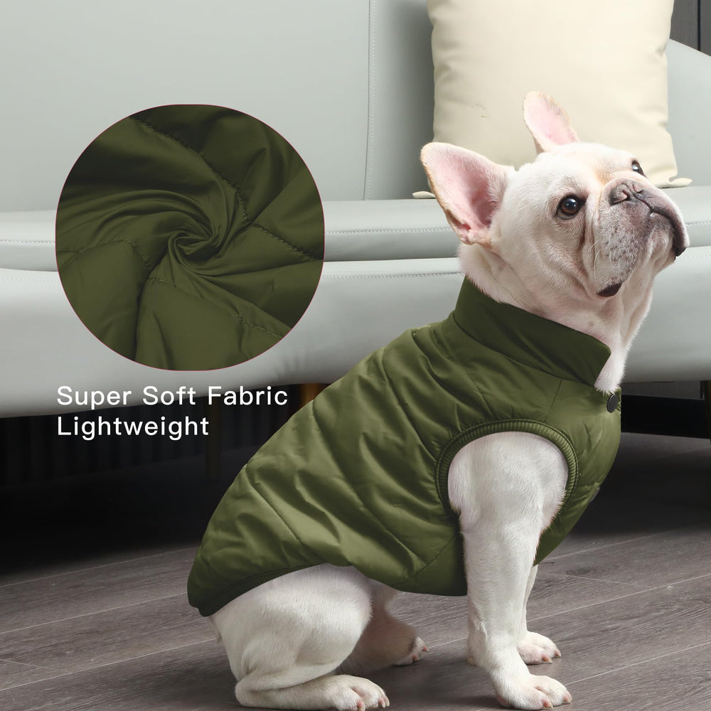 JoyDaog abrigo verde para perros pequeños, estilo práctico.