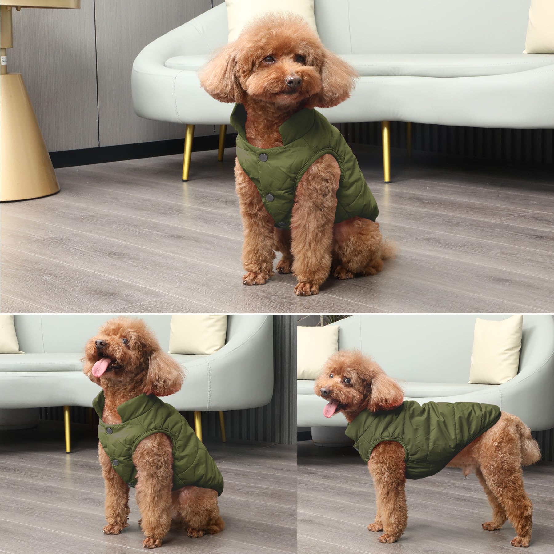 JoyDaog chaqueta de dos capas ideal para días fríos y paseos.