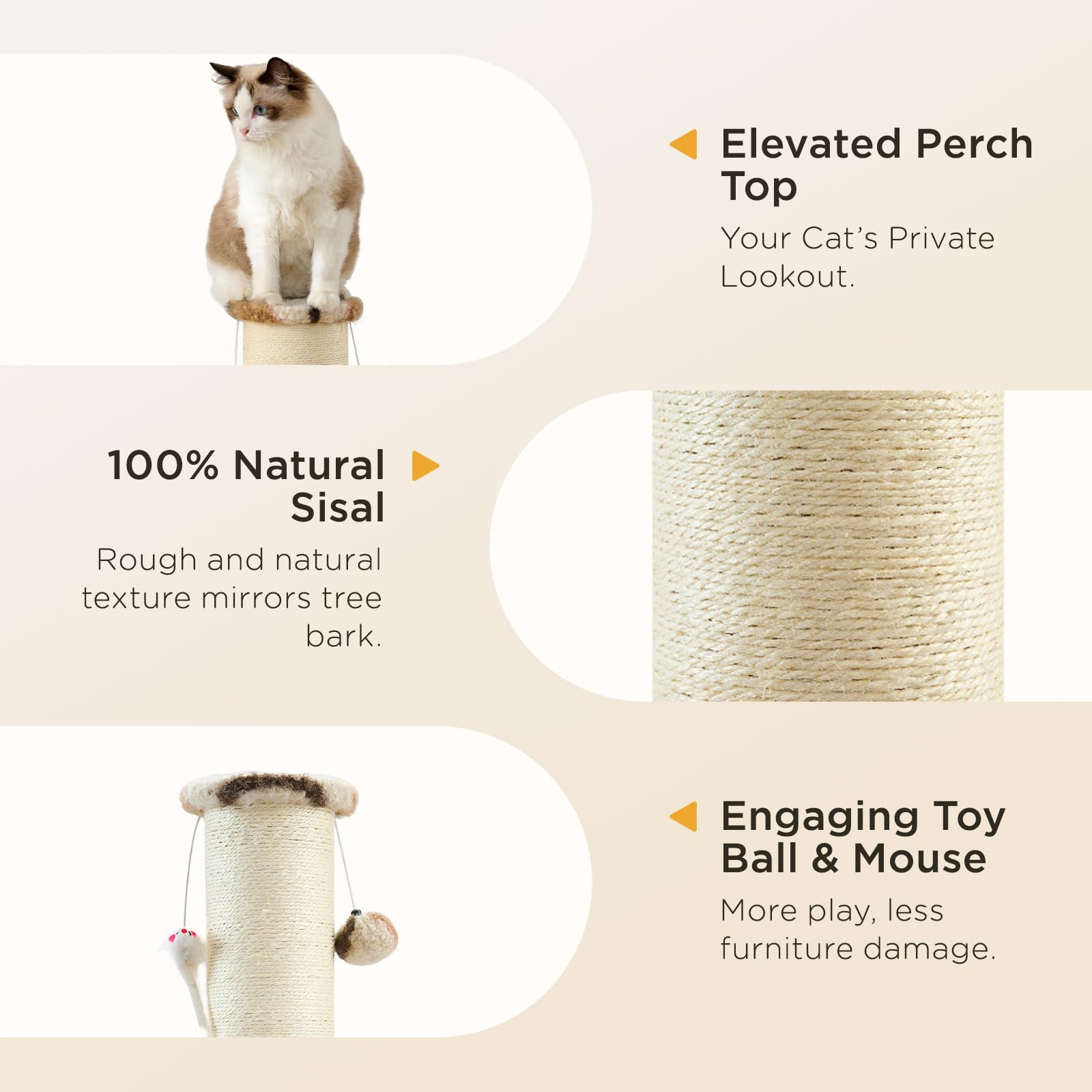 Opciones de rascado múltiples en Joydeco para gatos activos