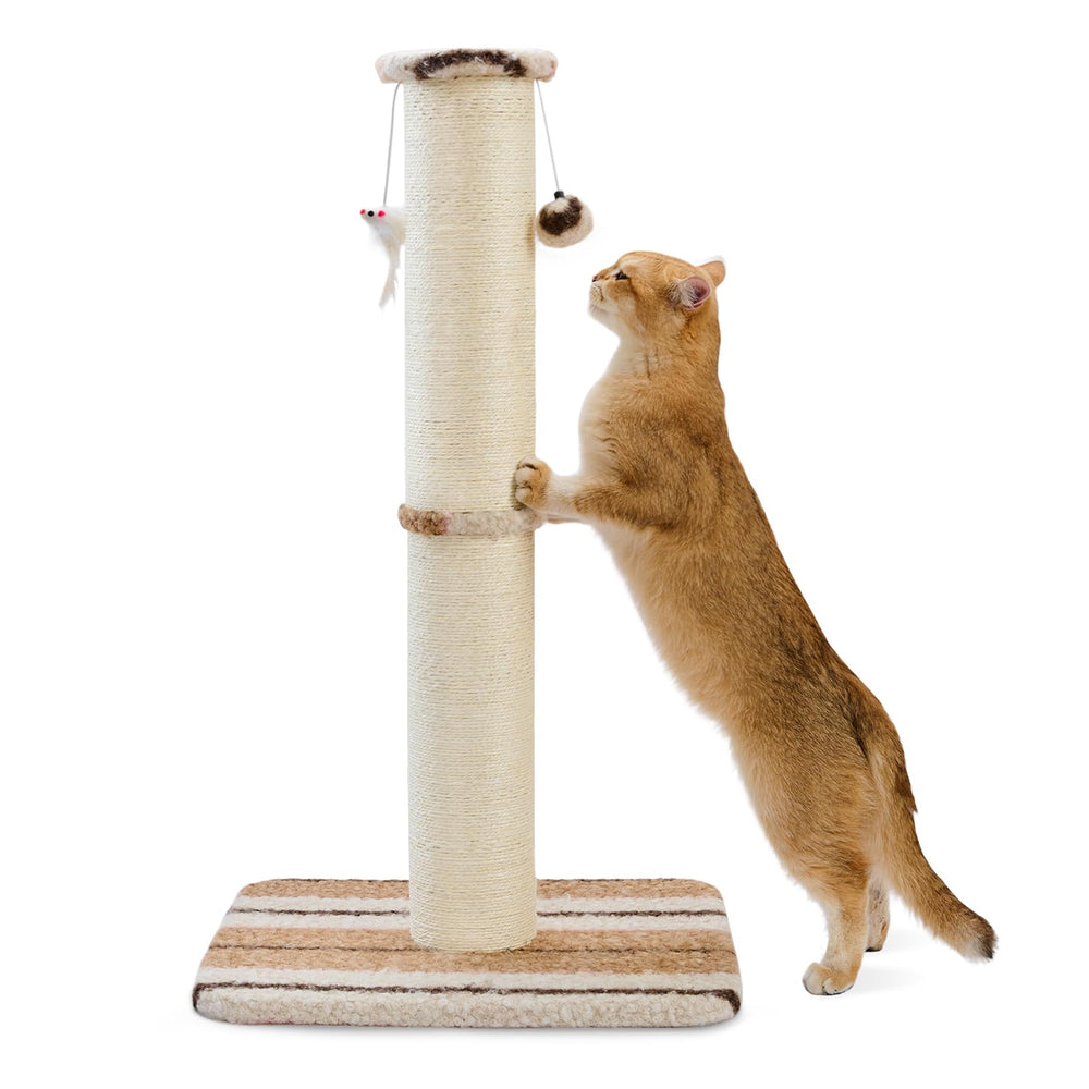 Joydeco poste rascador para gatos de 38 pulgadas con cuerda de sisal para arañar
