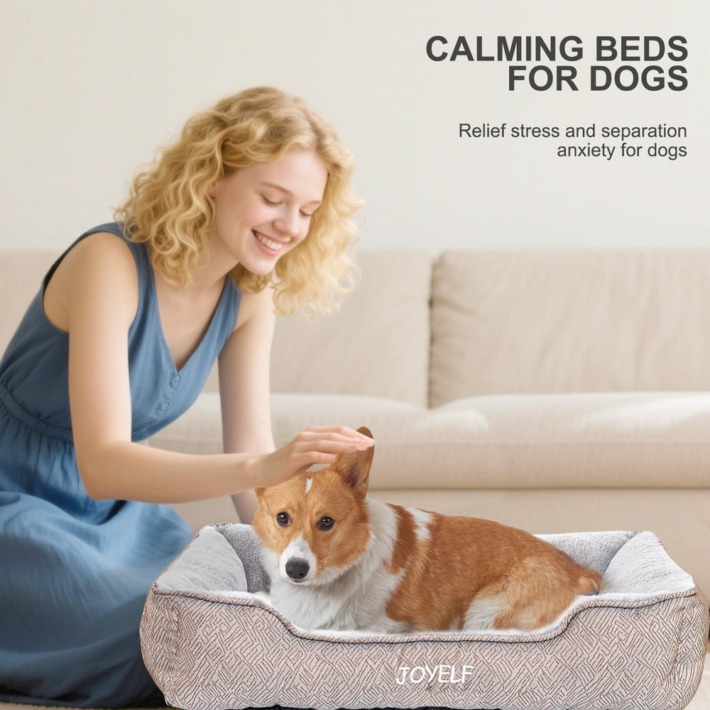 Cama JOYELF en casa, un rincón acogedor para mascotas.