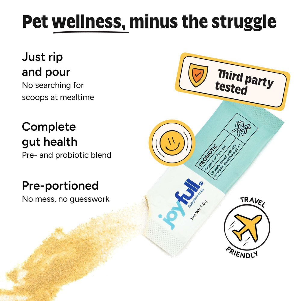 Sabor carne natural de JoyFull Probiotics para perros.