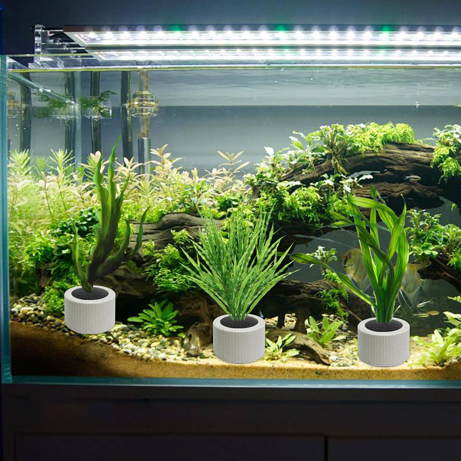 JoyHuaTrade: diseño compacto para paisajes submarinos limpios y ordenados.