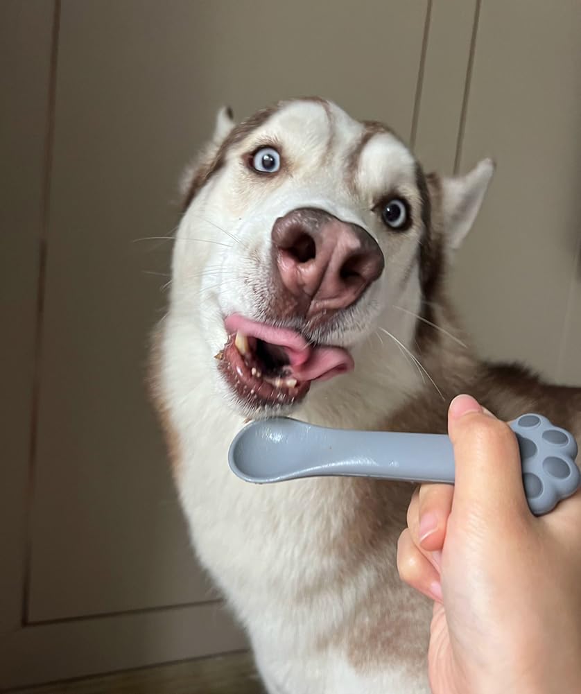 Joyinjojo diseño patitas adorable para mascotas, añade toque simpático a la hora de alimentar.