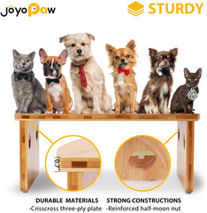 Ensamblaje sencillo Joyopaw sin herramientas para plato doble.