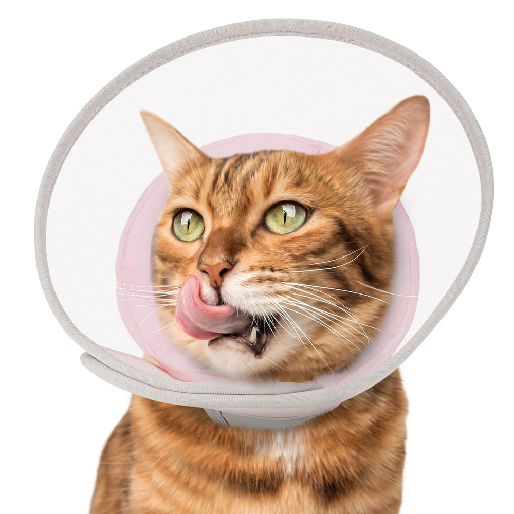Cono Joypig para gato suave rosa, comodidad durante la recuperación.