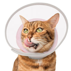 Cono Joypig para gato suave rosa, comodidad durante la recuperación.