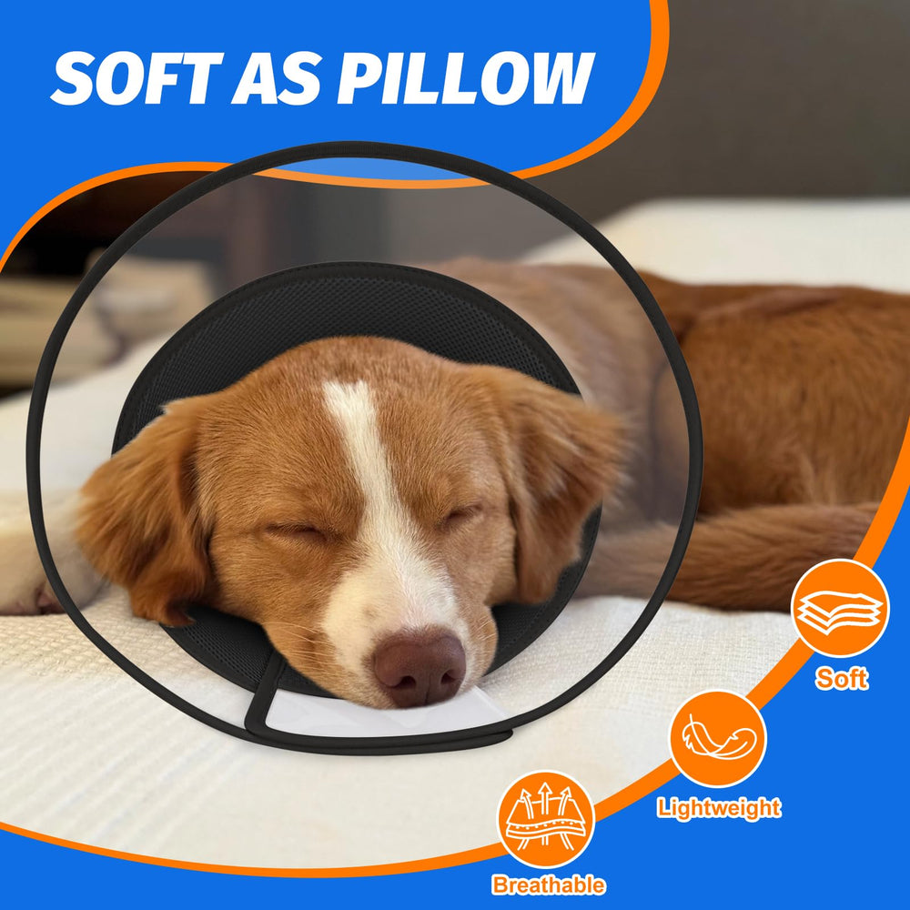 Joypig cono para perro con barrera amplia para protección