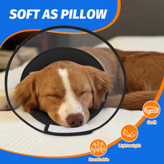 Joypig cono para perro con barrera amplia para protección