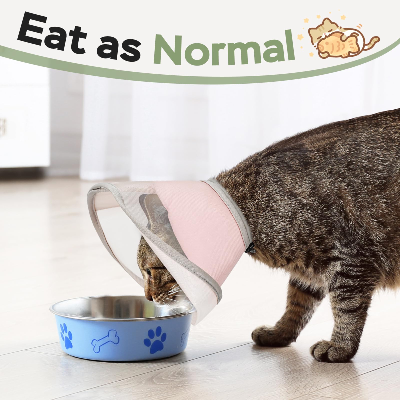 Cono Joypig de malla impermeable para gato, ventilación y protección.