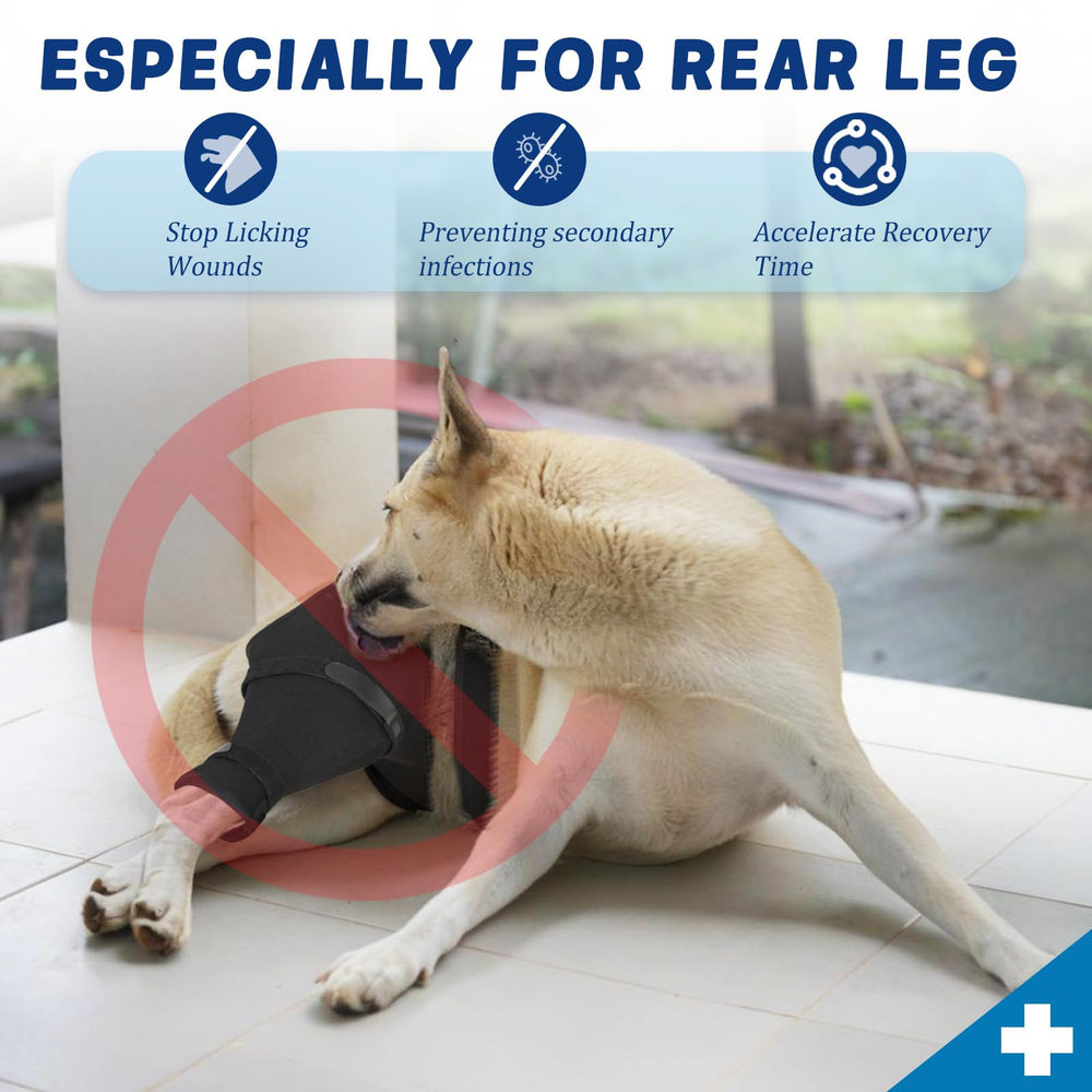 Joypig manga sin cono: protección estable sin molestar al perro.