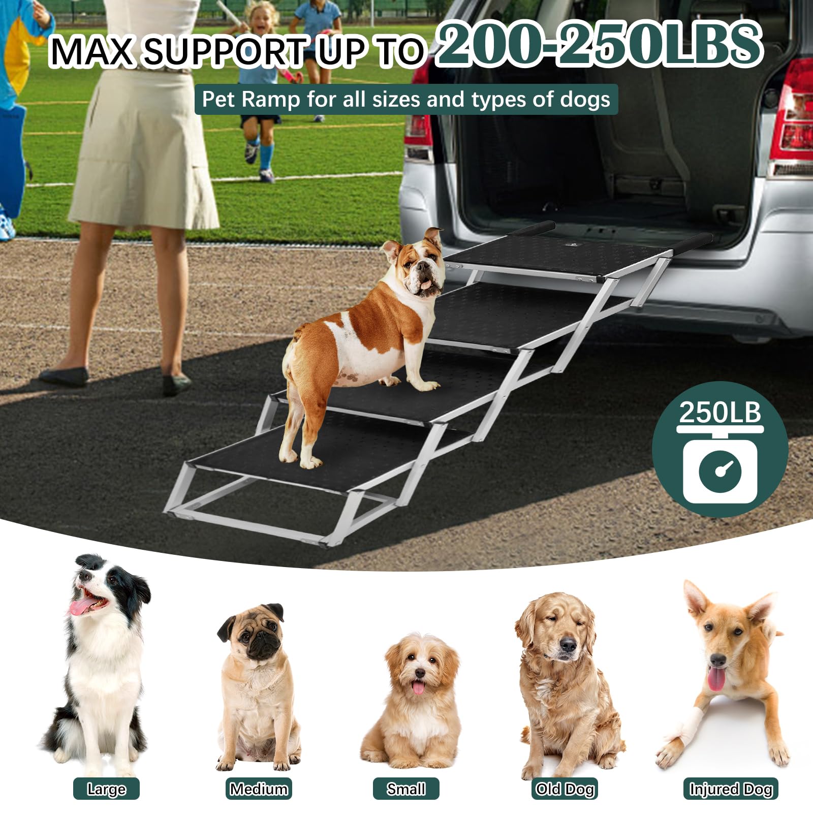 Joyrally escalera para cama alta facilita subir y bajar.