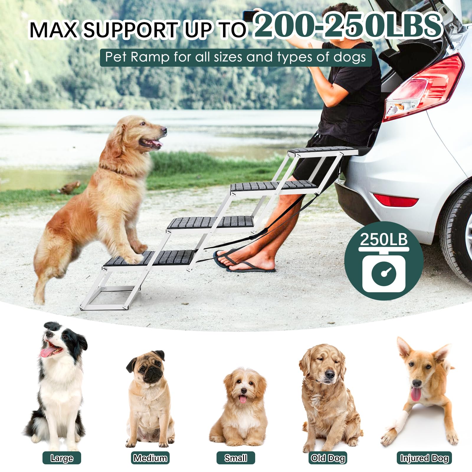 Joyrally escalera con dos ángulos ajustables para comodidad del perro.