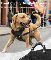 Joytale harnais anti-pull pour grand chien, clip arrière pour promenades détendues
