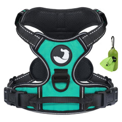 Harnais Joytale grand chien avec clip frontal pour diriger sans tirer.